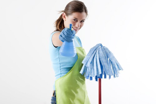 Carpet cleaning equipment prepared for a Whetstone service appointment