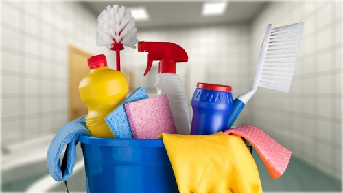 Steam carpet cleaning equipment in a Whetstone home