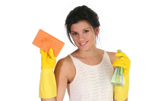 Accessibility request section for Whetstone Carpet Cleaners