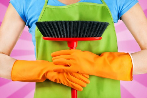 Professional stain removal for delicate surfaces in Whetstone