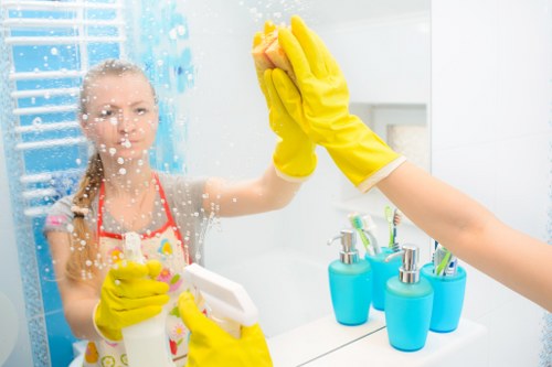 Professional inspection of pet stain odour removal in Whetstone
