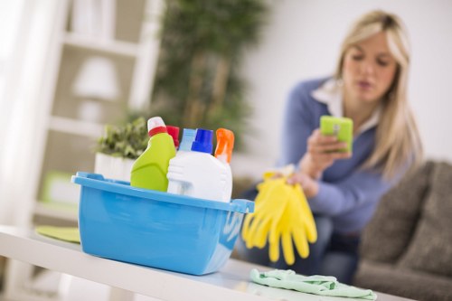 Upholstery and carpet areas commonly affected by pet odours